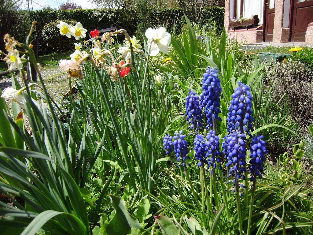 Villa San Ignacio Bariloche Zewnętrze zdjęcie